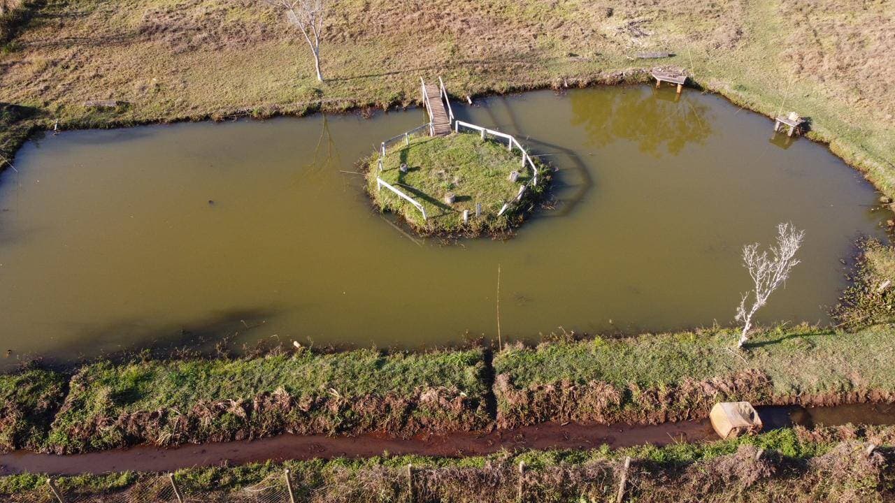 CHÁCARA EXCLUSIVA DE $24.200 m^2$ (2.4ha) C/ 4 RESIDÊNCIAS, LAZER TOTAL E ENERGIA SOLAR NO CURRALINHO! 6