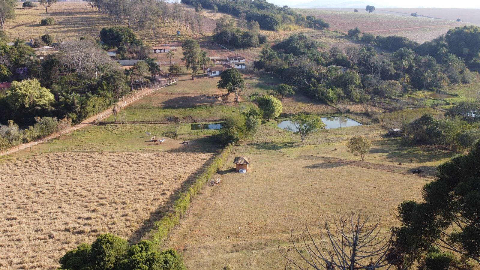 CHÁCARA EXCLUSIVA DE $24.200 m^2$ (2.4ha) C/ 4 RESIDÊNCIAS, LAZER TOTAL E ENERGIA SOLAR NO CURRALINHO! 9